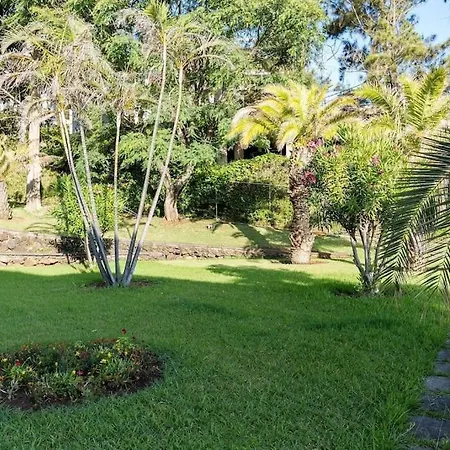 Sunny Bayhill With Swimming Pool Apartment Funchal  Exterior photo